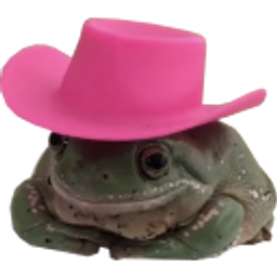 Frog Pink Hat Cowboy emoji