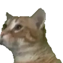 Yoshijam emoji
