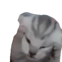 Thevoices emoji