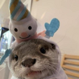 Smilingotter emoji