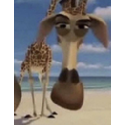 Madagascar1 0 emoji