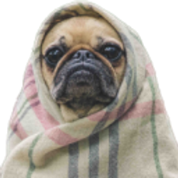 Sad Dog In Blanket emoji