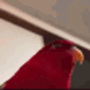 Funnyburb emoji