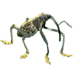 Weevil emoji