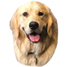 Bailey emoji