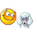 Pet Poodle emoji