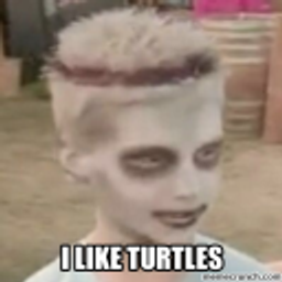 I Like Turtles emoji