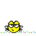 Whoopdeedoo emoji
