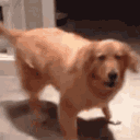 Excited Dog emoji