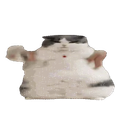 Catfat emoji