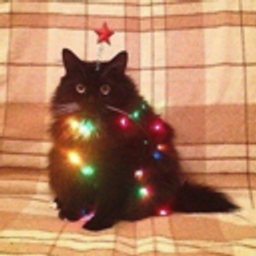 Christmas Floof emoji