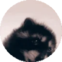 Raccoonrave emoji