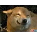 Cute Dog Smile emoji