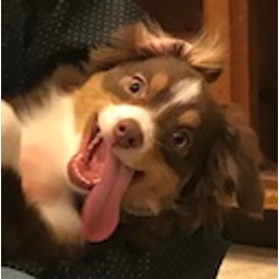 Winniemoji emoji
