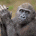 Chimp Clap emoji