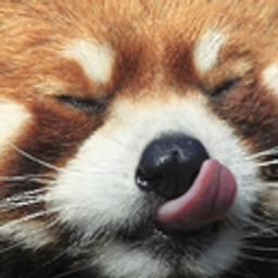 Redpandalicks emoji
