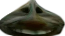Xddgarlic emoji