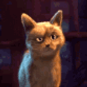 Ooh Cat emoji