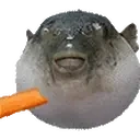Aaugh emoji
