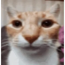 Myhonestreaction emoji