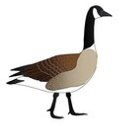 Canada Goose emoji