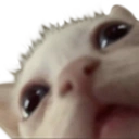 Whatdidyousaypussy emoji