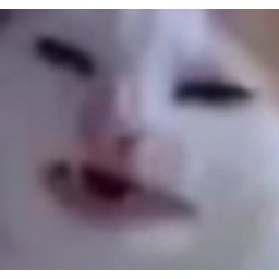 Ew Cat emoji