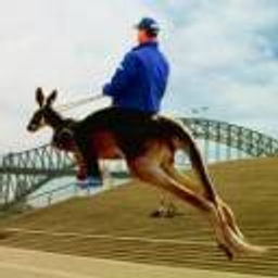 Riding Kangaroo emoji