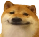 Smiledog emoji