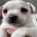 Scawy emoji