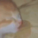 Mimimimimi emoji