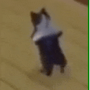 Break Dance Cat emoji