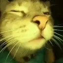 Catrave emoji