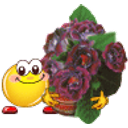 Give Roses emoji