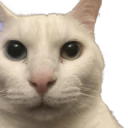 Cannycat emoji
