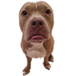 Ivythepittie emoji