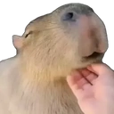Scratch emoji