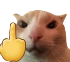 Catfu emoji
