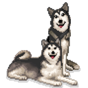 Huskies emoji