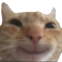 Catsmile emoji
