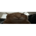Widebuh emoji