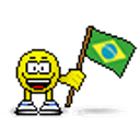 Brazilian Flag emoji