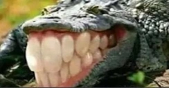Xdddd emoji