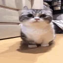 Whatisthat emoji
