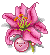 Pink Lilly emoji