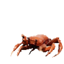 Crabrave emoji