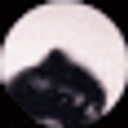 Pedroraccoon emoji