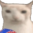 Verycat emoji