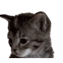 Yawner emoji