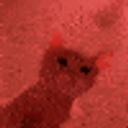Kittyvibe emoji